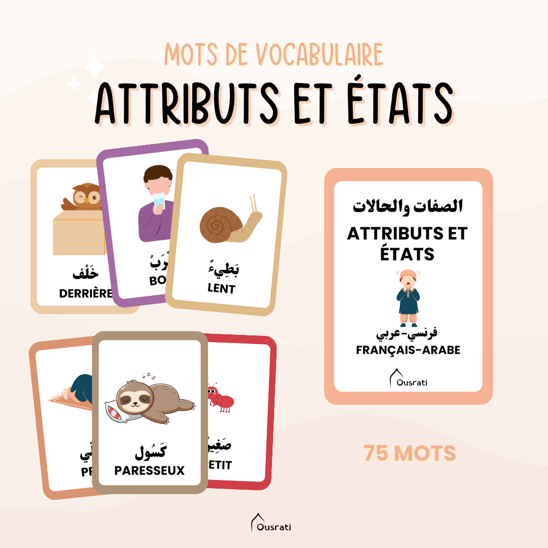 Pack cartes arabes - Vocabulaire avancé