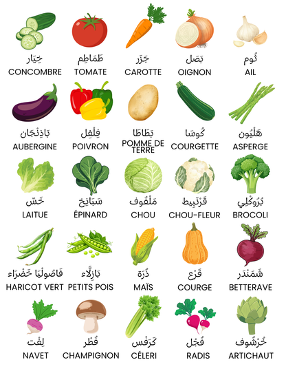 Affiches mots de vocabulaire (fruits, légumes & animaux)