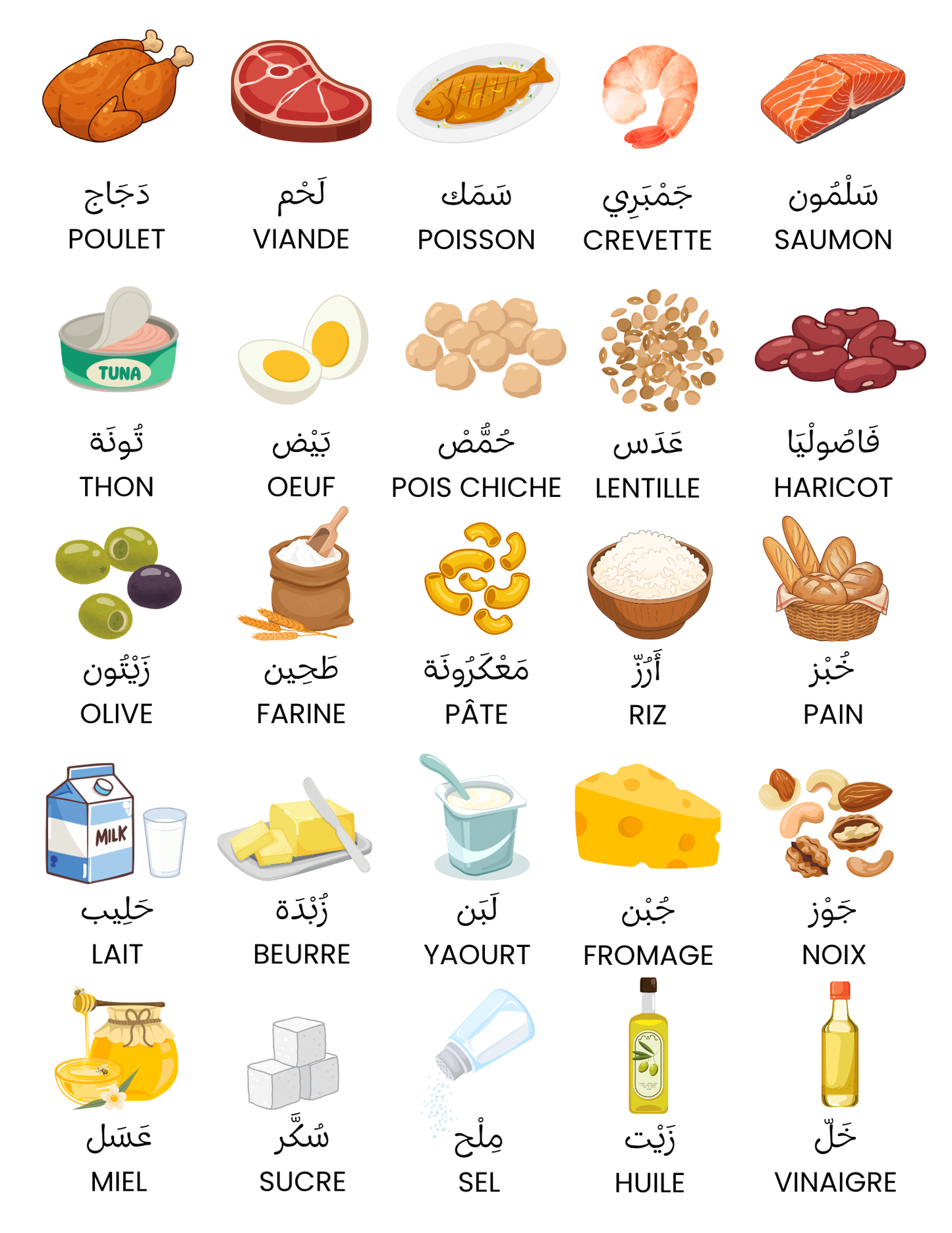 Affiches mots de vocabulaire (fruits, légumes & animaux)