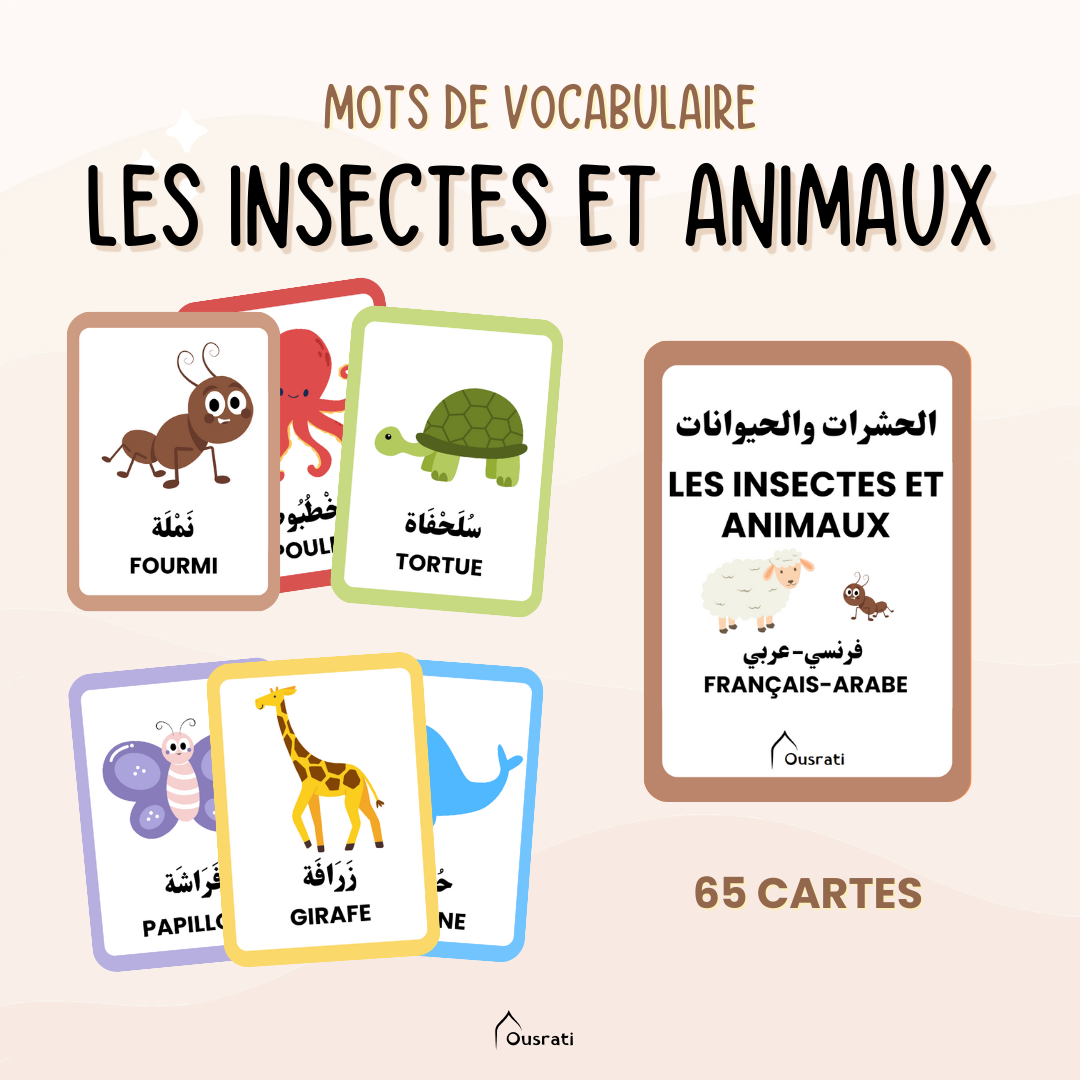Pack cartes arabes - Découverte du monde