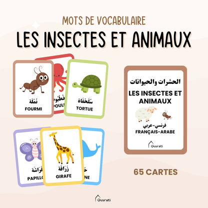 Pack cartes arabes - Découverte du monde