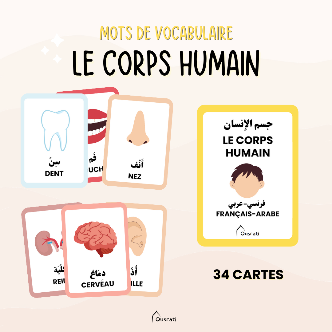 Pack cartes arabes - Maison et quotidien