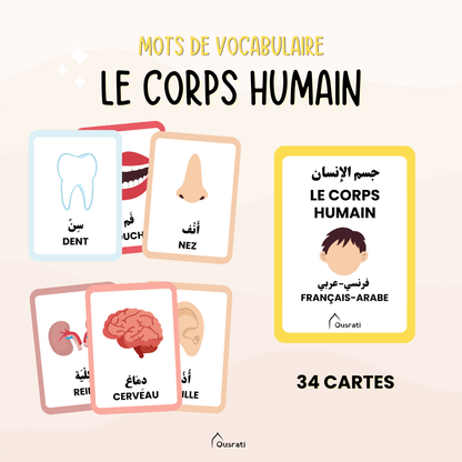 Pack cartes arabes - Maison et quotidien