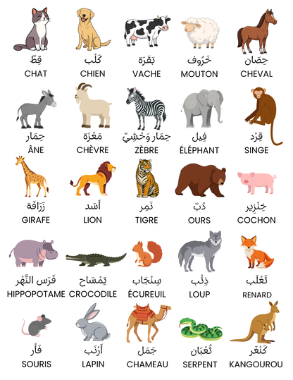 Affiches mots de vocabulaire (fruits, légumes & animaux)