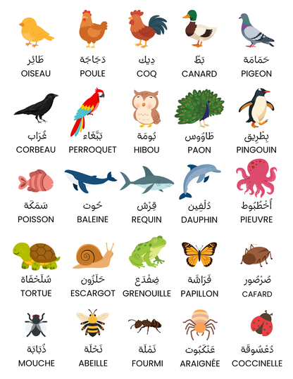 Affiches mots de vocabulaire (fruits, légumes & animaux)
