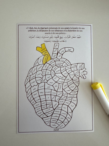 Cœur de Mémorisation/Lecture du Qur’an – Sourates à Colorier